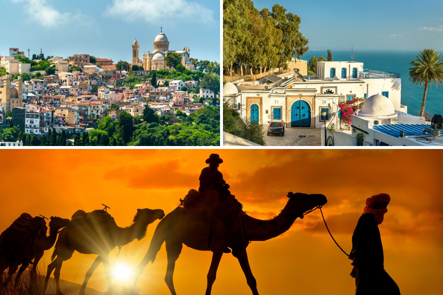 Argelia, Túnez y Marruecos