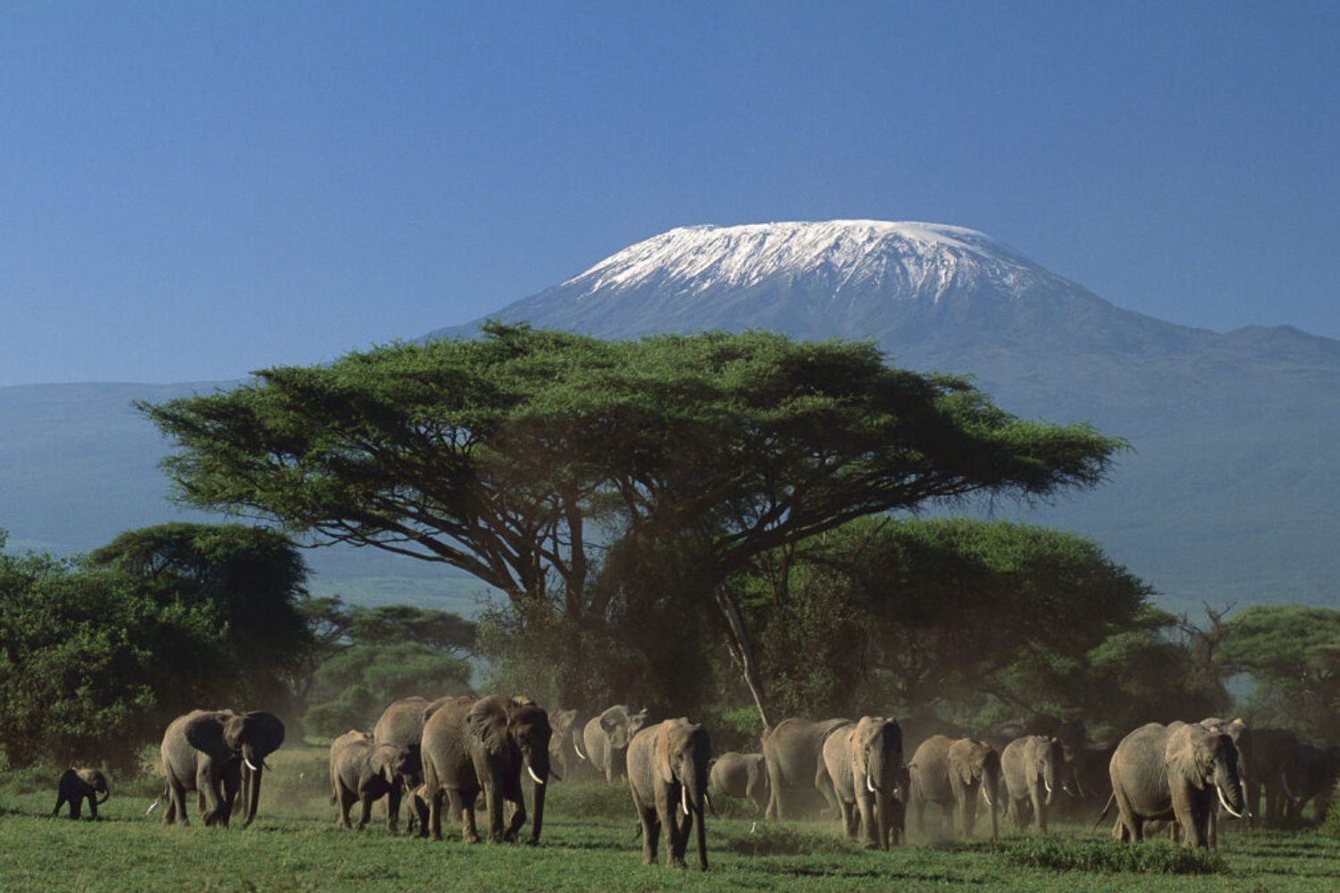 Arusha, Tanzania
