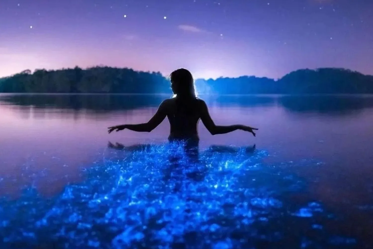Bioluminiscencia, Oaxaca