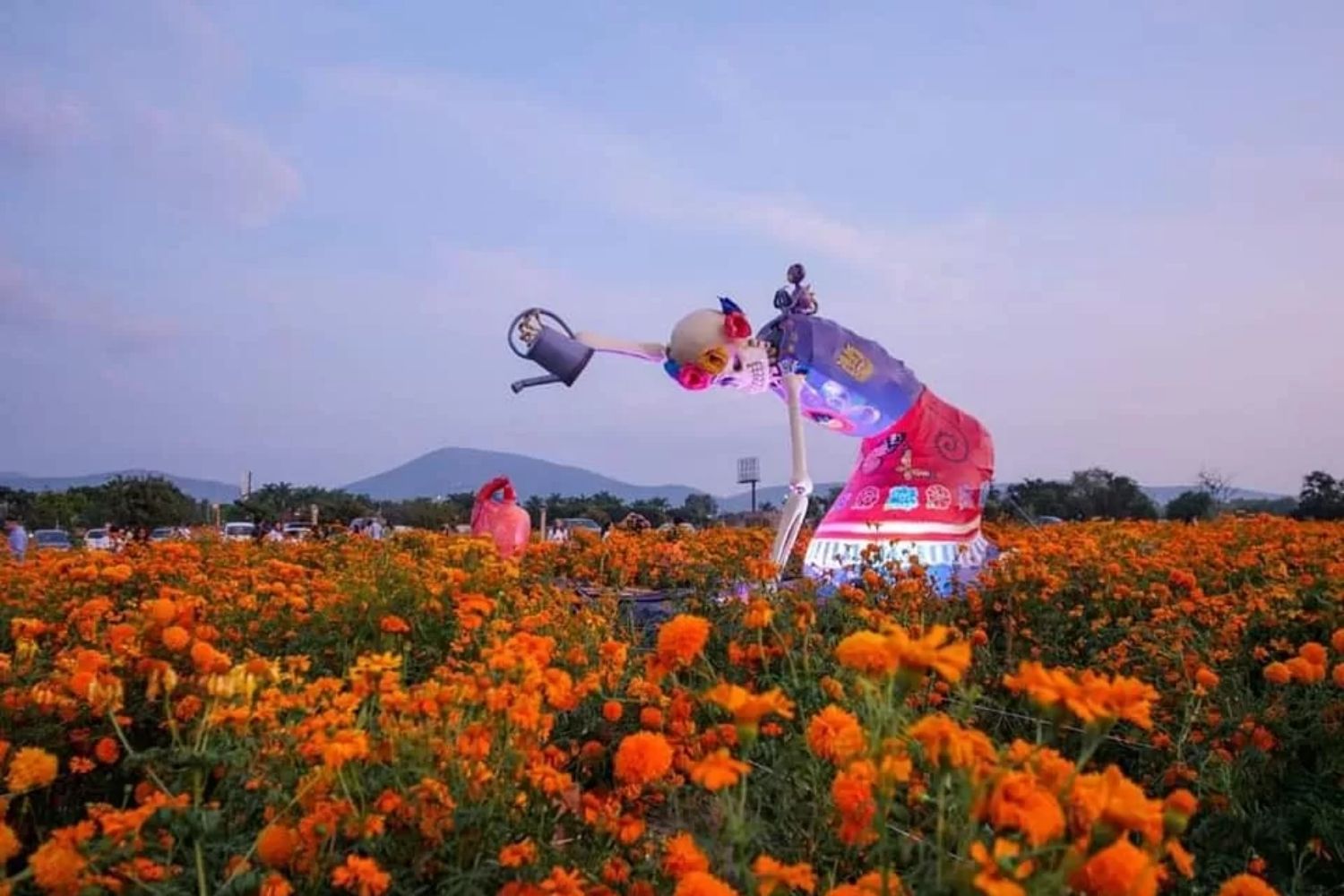 Campos de Cempasúchil en Atlixco