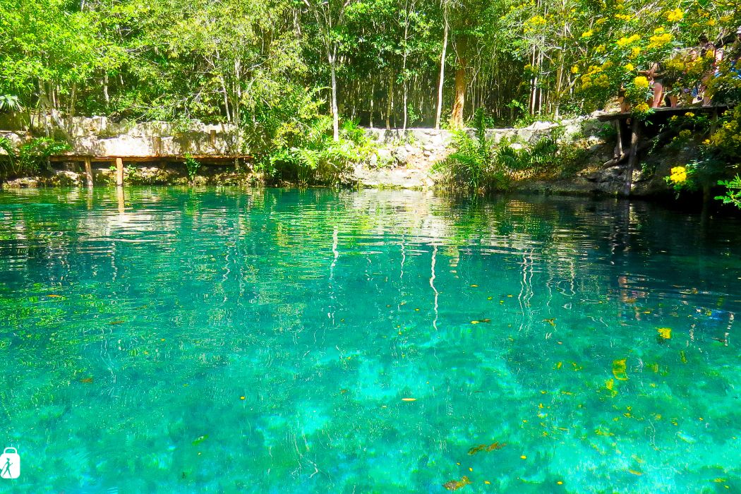 Cenotes Casa Tortuga