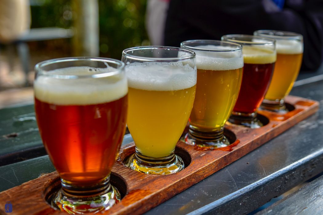 Cerveza Artesanal