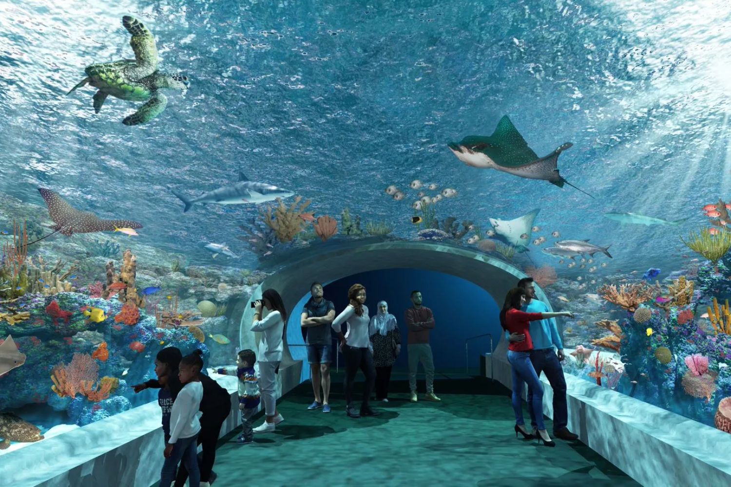Chicago’s Famous Aquarium