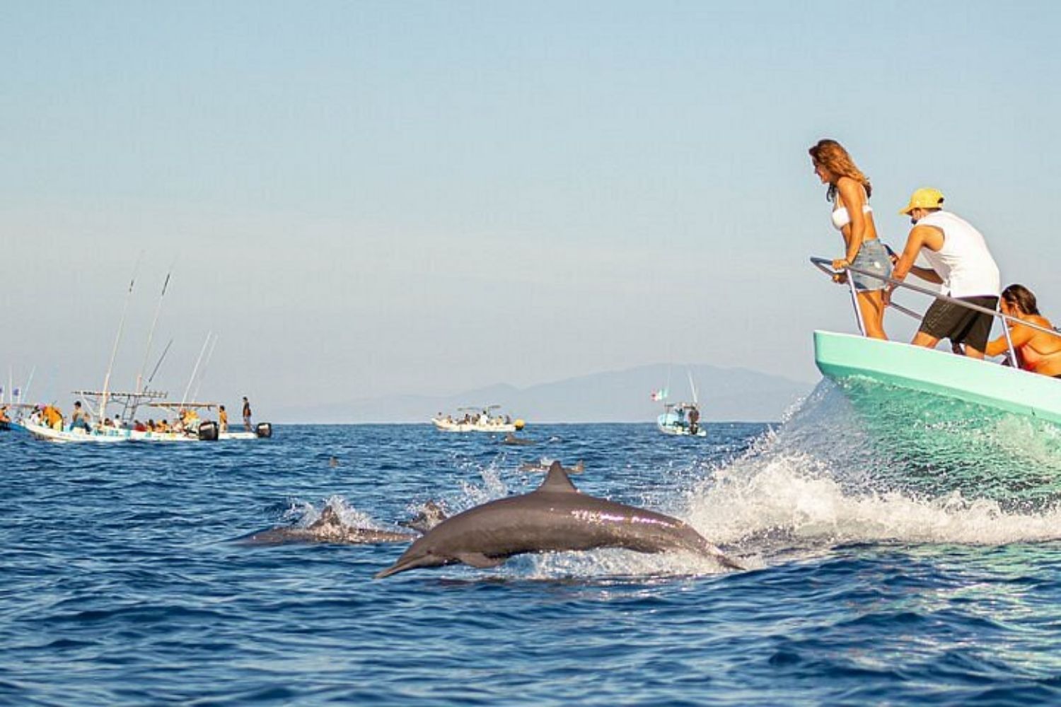 Delfines en Puerto Ángel, Oaxaca Delfines en Puerto Ángel, Oaxaca