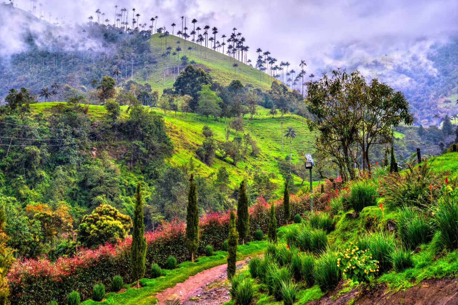 Eje Cafetero, Colombia Eje Cafetero, Colombia