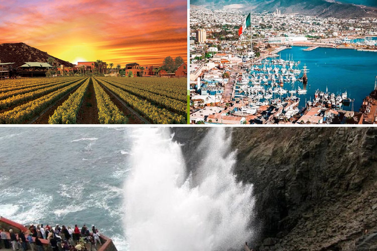 Encantos de Baja California Norte