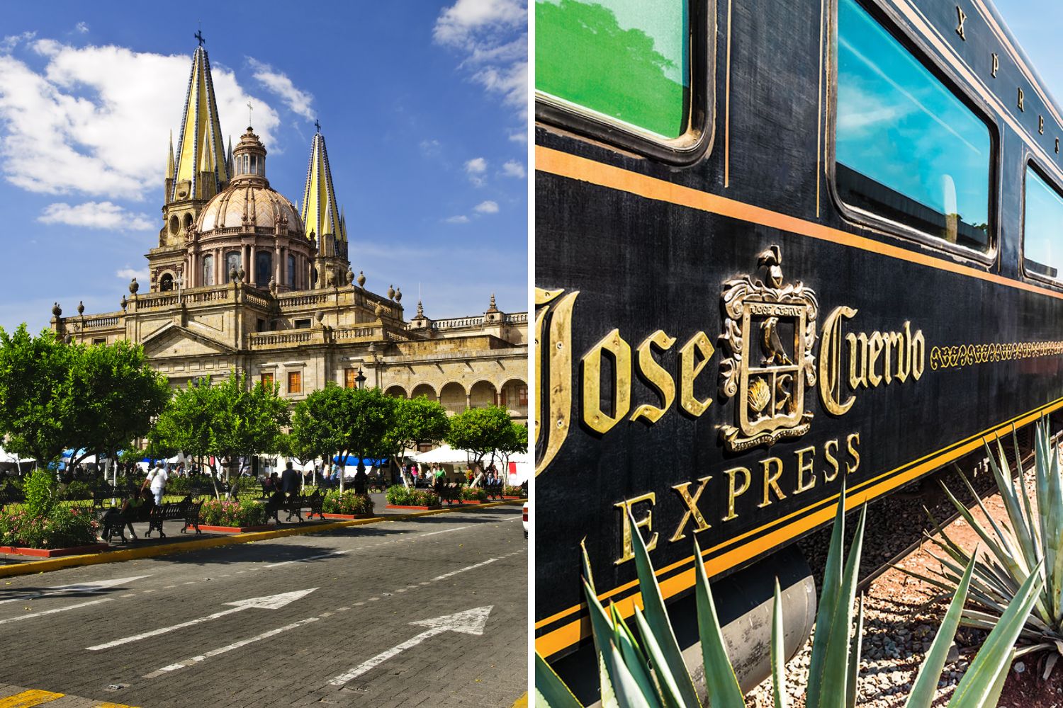 Guadalajara y Tren José Cuervo Express