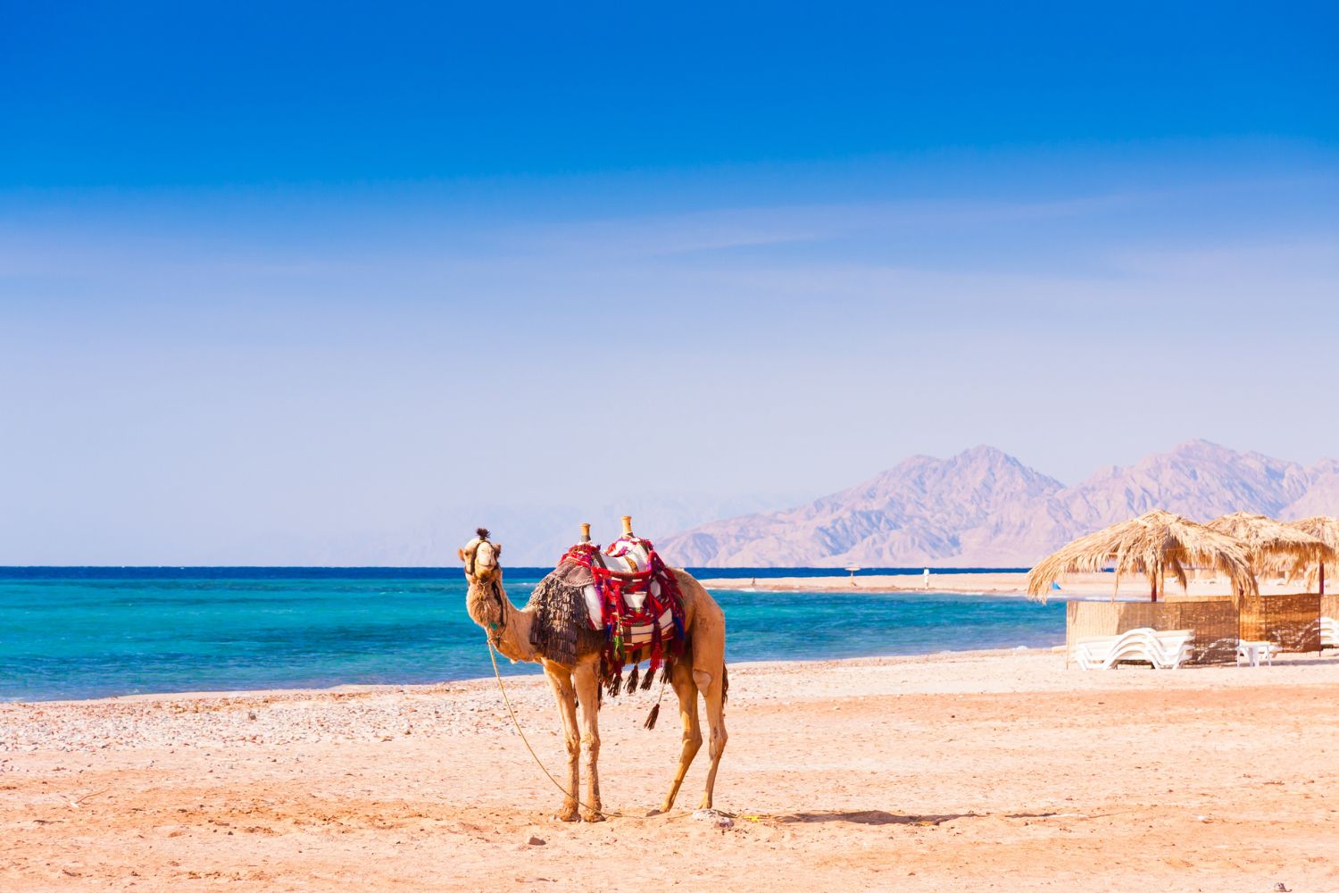 Hurghada, Egipto Hurghada, Egipto