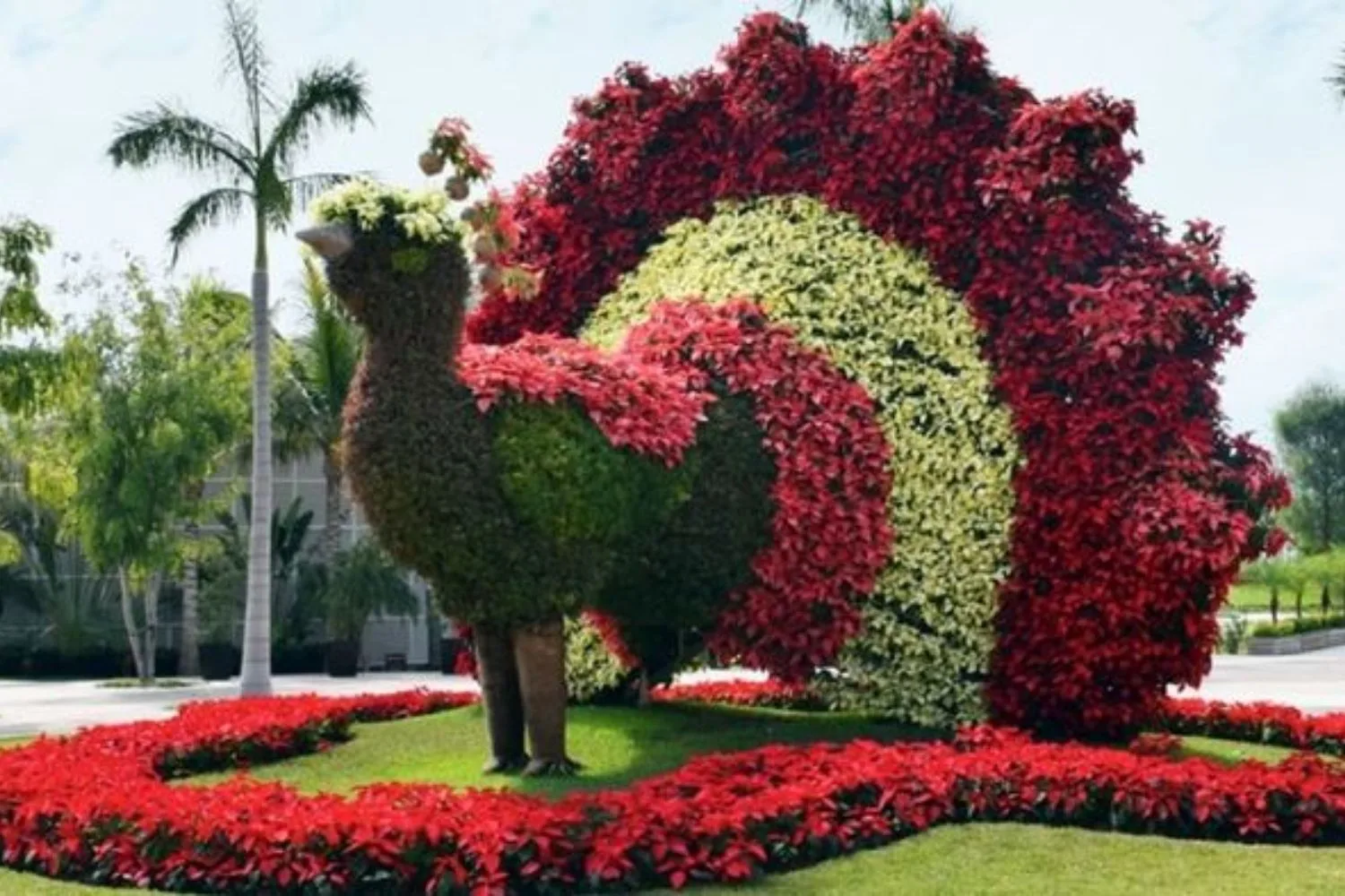 Jardines de México, Morelos