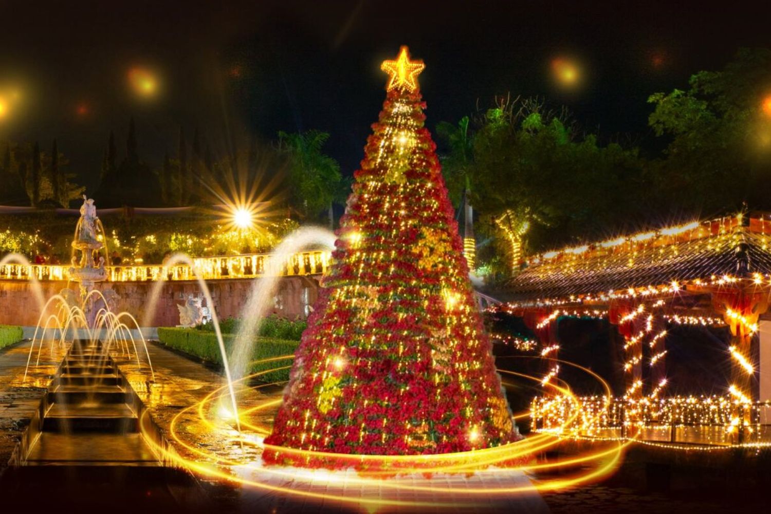 Jardines de México en Navidad, Morelos