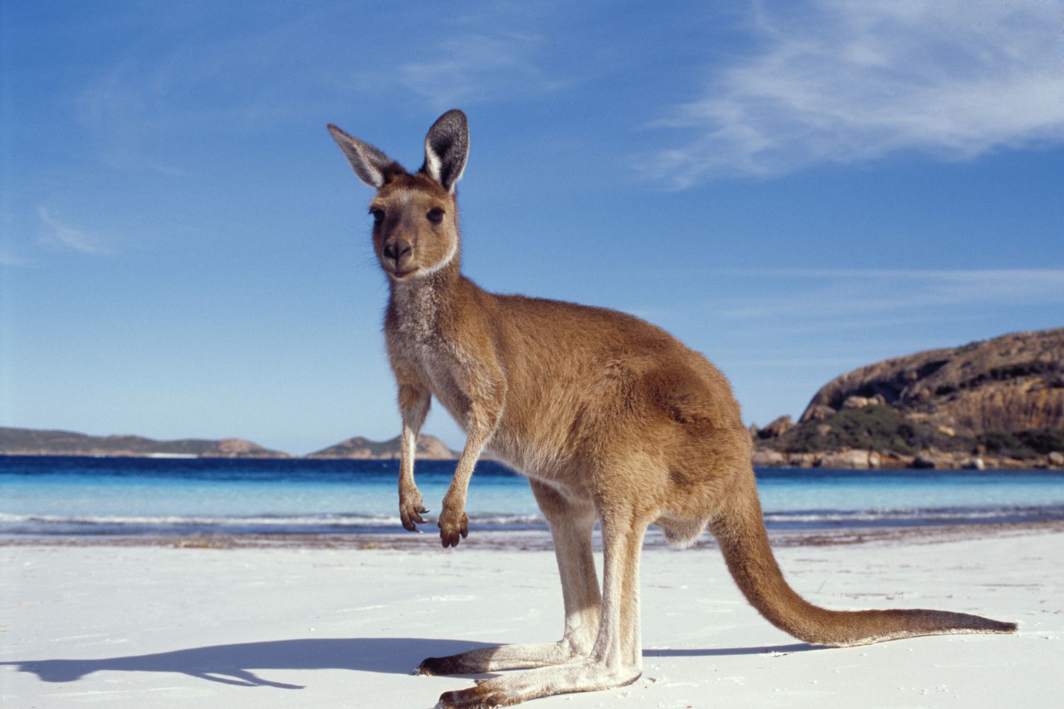 Kangaroo Island, Australia