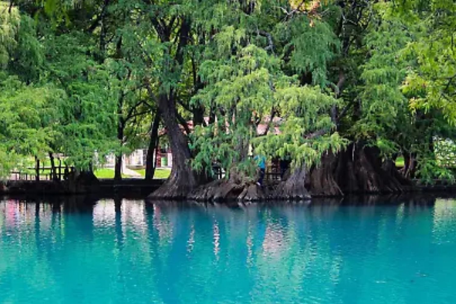 Lago de Camécuaro, Michoacán