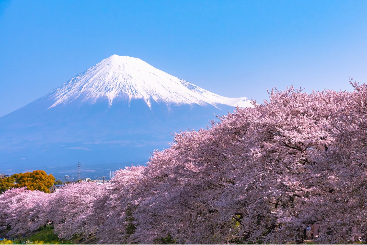 Monte Fuji, Japón