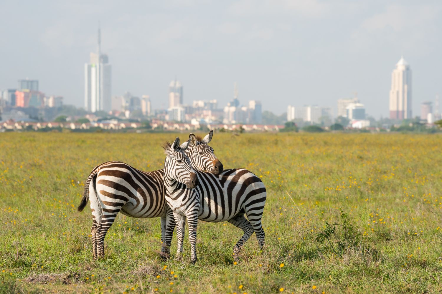 Nairobi Kenya