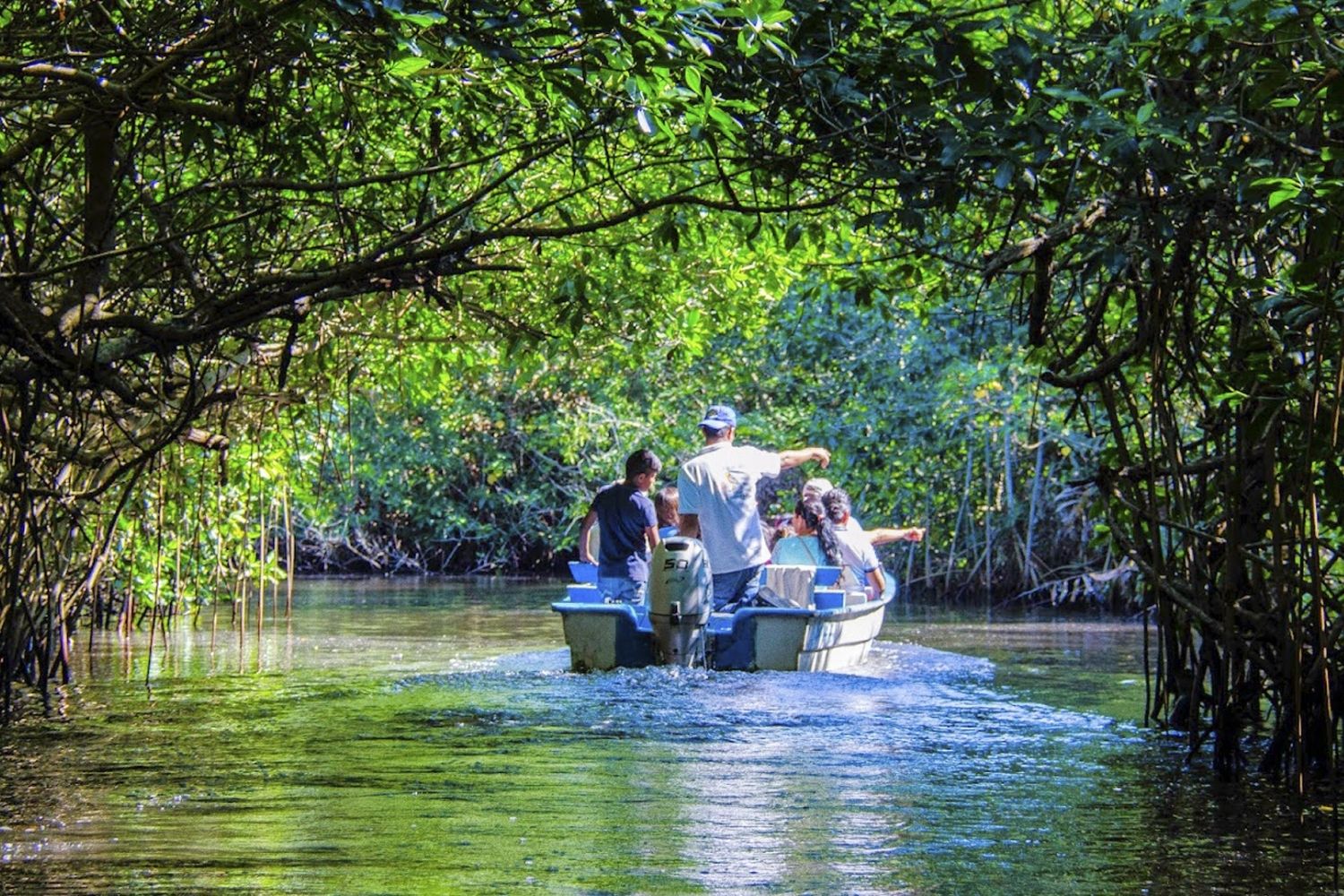 San Blas, manglares, Nayarit