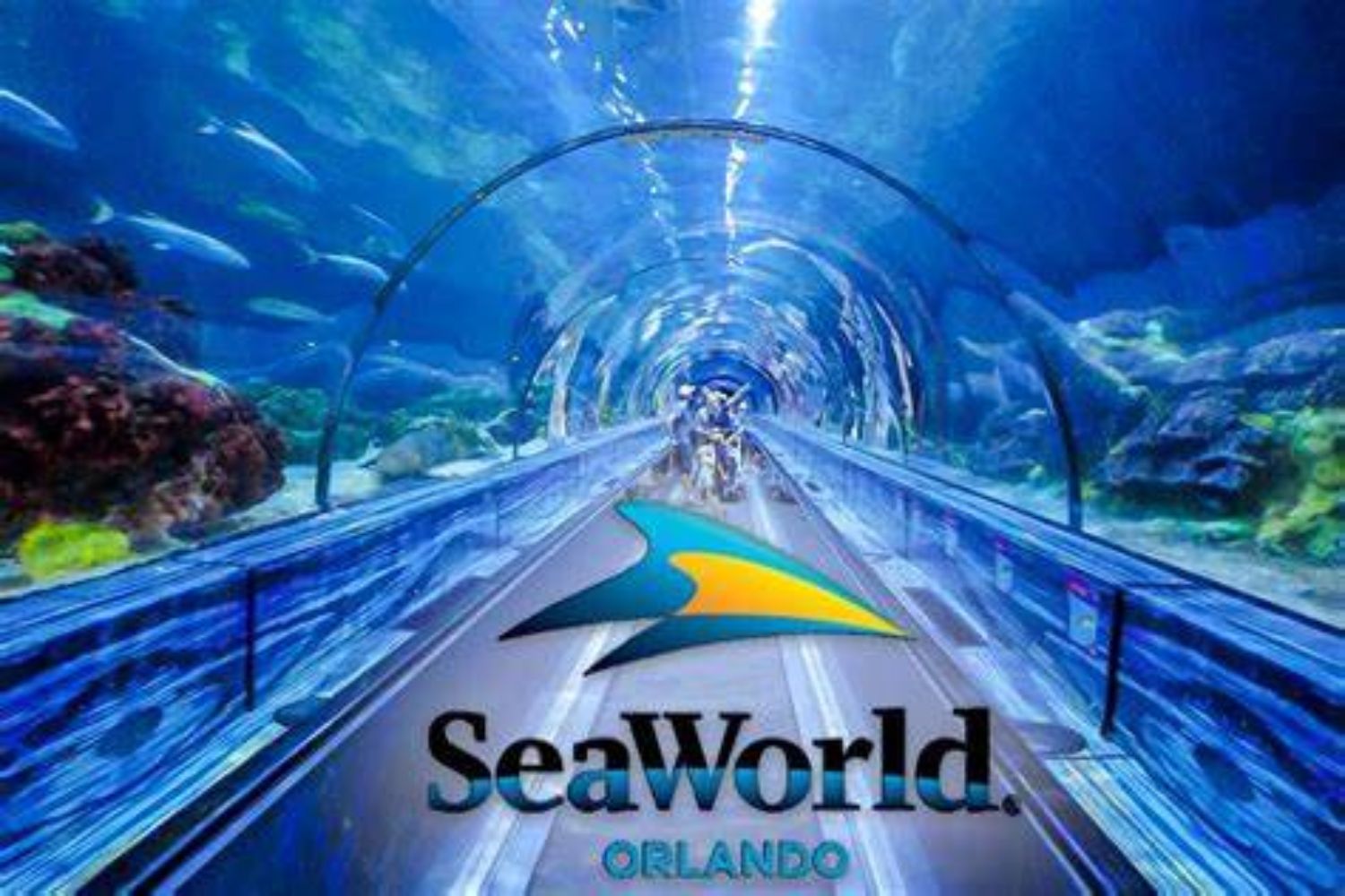 SeaWorld Orlando SeaWorld Orlando