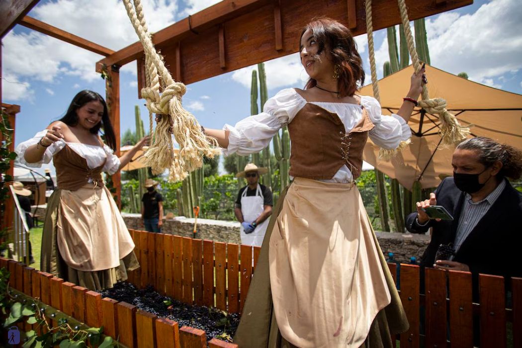 Tradicional Pisado de Uva