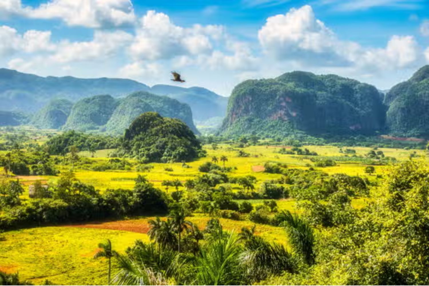 Valle de Viñales, La Habana, Cuba Valle de Viñales, La Habana, Cuba